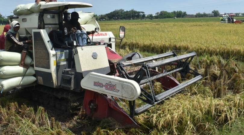 Jokowi Umumkan Ada Sejumlah Daerah Kurang Bahan Pangan dari Beras hingga Telur Ayam Jokowi Umumkan Ada Sejumlah Daerah Kurang Bahan Pangan dari Beras hingga Telur Ayam