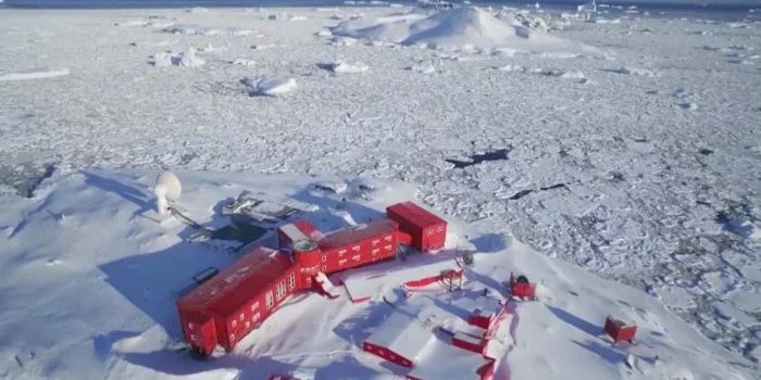 Tidak Ada Benua yang Aman, Virus Corona Mampir di Antartika Tidak Ada Benua yang Aman, Virus Corona Mampir di Antartika