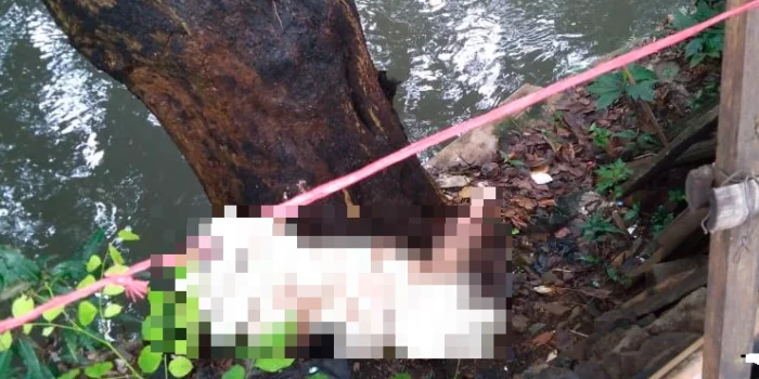 Berlatar Hubungan Sesama Jenis, Manusia Silver Mutilasi Korbannya di Bekasi Jasad korban mutilasi yang ditemukan di Bekasi (IST)
