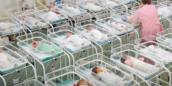 Ada Ratusan Bayi Lahir dari Metode Surogasi Terjebak di Ukraina, Termasuk Puluhan Embrio Beku Ada Ratusan Bayi Lahir dari Metode Surogasi Terjebak di Ukraina, Termasuk Puluhan Embrio Beku