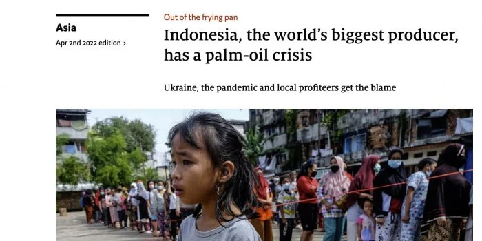 Indonesia Jadi Sorotan Media Asing, Produsen Kelapa Sawit Terbesar di Dunia Tapi Minyak Goreng Langka