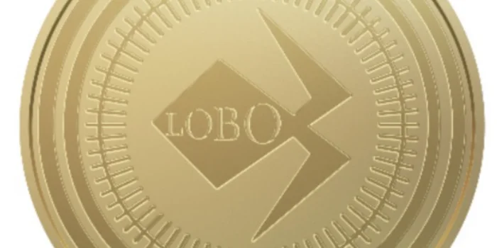 LOBO Coin Bakal Jadi Mata Uang Digital Properti Pertama di Indonesia LOBO Coin Bakal Jadi Mata Uang Digital Properti Pertama di Indonesia