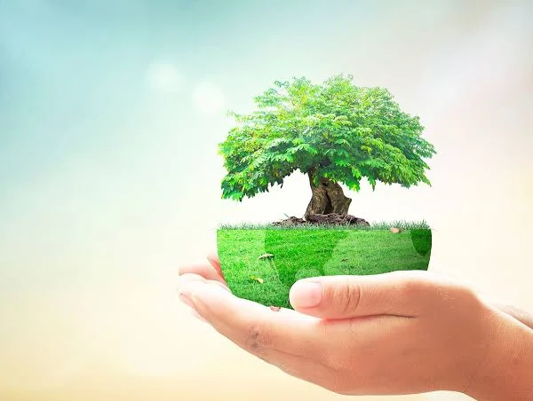 Green Champaign untuk Pemilu 2029 Green Champaign untuk Pemilu 2029