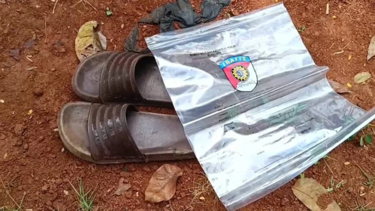 Tersangka Kasus Mutilasi Terhadap Istrinya di Ciamis: Tarsum Jalani Tes Kejiwaan dan Ditahan di Tempat Khusus Barang bukti kasus mutilasi di Rancah, Ciamis. (IST)