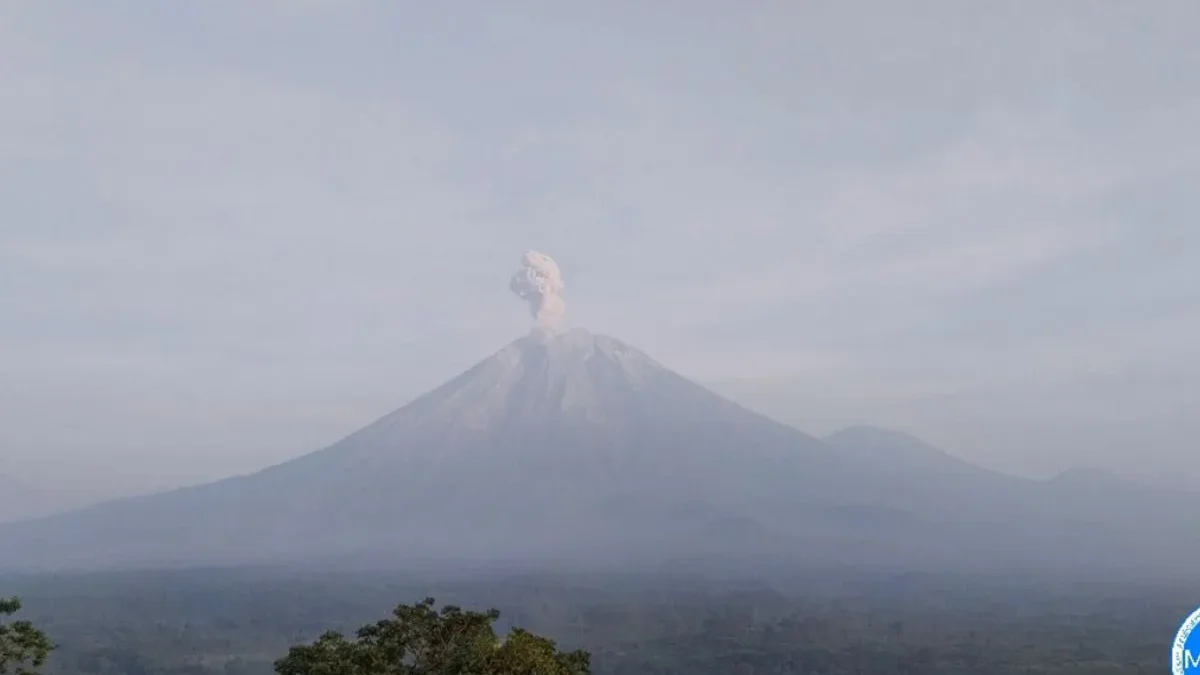 Gunung Semeru 6 Kali Erupsi Disertai Letusan Lontarkan Abu Vulkanik Setinggi 400 hingga 900 Meter, Jumat Pagi Gunung Semeru erupsi dengan tinggi kolom abu vulkanik teramati sekitar 900 meter di atas puncak pada Jumat (24