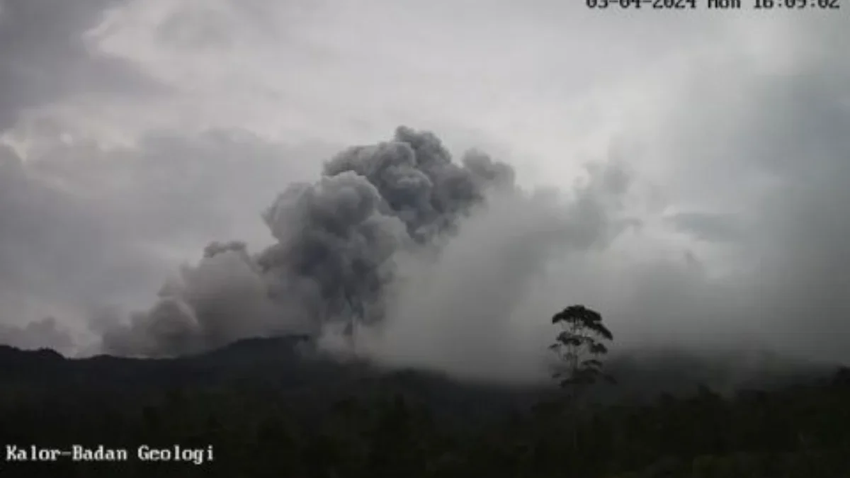 Gunung Merapi: Awan Panas 24 Kali dengan Ketinggian 2.500 Meter Menuju Barat Daya Awan panas Gunung Merapi Merapi hasil tangkapan kamera BPPTKG(Dok.BPPTKG)