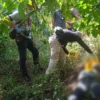 Penemuan Mayat Tanpa Identitas di Kebun PTPN 1 Regional 3 Getas Afdeling Asinan Blok Gembol Bawen, Ini Cirinya Petugas saat melakukan olah TKP terhadap jenazah tanpa identitas di kebun kopi milik PTPN I, Kecamatan Bawen,