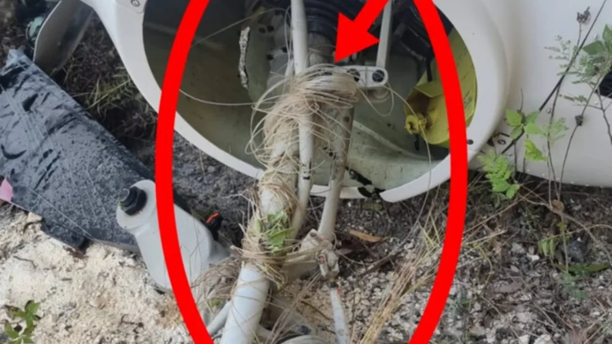 Benang layangan tersangkut di baling-baling menyebabkan kecelakaan helikopter di Bali, Jumat (19/7/2024). Foto