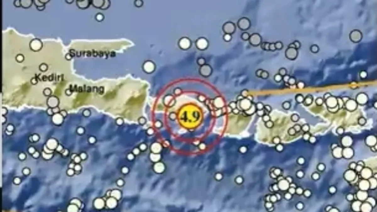 BMKG Deteksi 5 Gempa Susulan Guncang Gianyar Titik gempa di Bali, Sabtu (7/9)/Repro