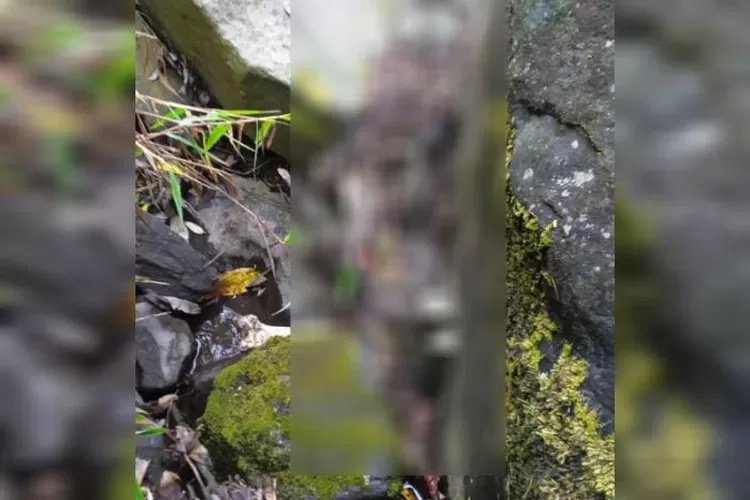 Misteri Kerangka Manusia di Jalur Pendakian Gunung Sumbing Kerangka Manusia yang ditemukan pendaki di wilayah aliran Sungai Pengkol Sembilan, Pos 2 Pendakian Gunung Sumb