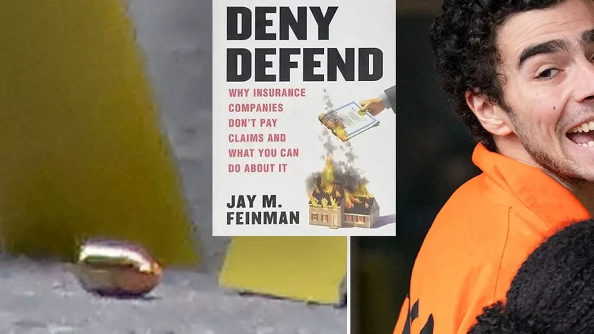 Luigi Mangione dan buku karya Jay Feinman