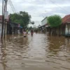 BPBD Kabupaten Cirebon Sebut Ada 15 Desa Terendam Banjir, Curah Hujan Tinggi Sungai Meluap Kondisi banjir di salah satu desa di Kabupaten Cirebon bagian timur akibat hujan berdampak sungai meluap