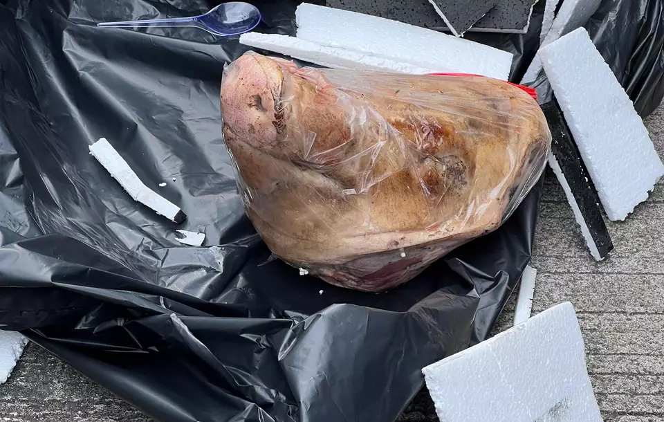 Kantor media Tempo menerima sebuah paket berisi kepala babi pada Rabu 19 Maret 2025 yang dikemas dalam kotak k