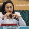Wakil Menteri Pelindungan Pekerja Migran Indonesia (P2MI), Christina Aryani (IST)