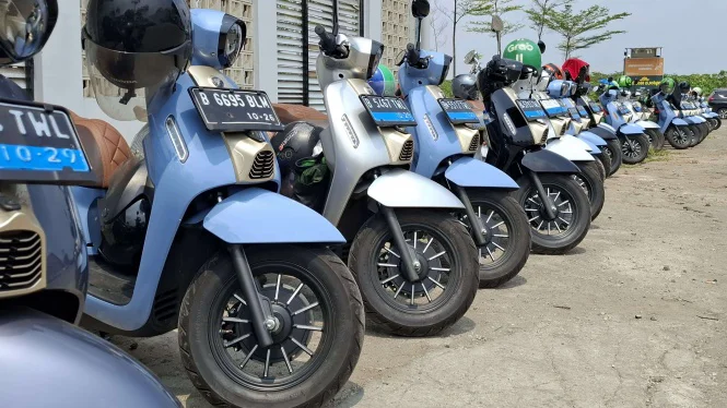 AISMOLI berharap pemerintah Indonesia dapat segera melakukan inisiatif-inisiatif yang dapat menciptakan pasar