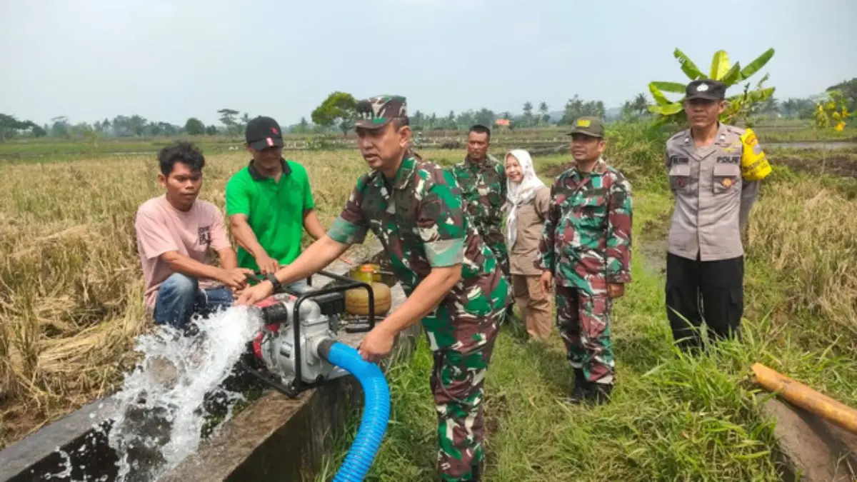 Satuan Tugas (Satgas) Pangan Mabes TNI mengecek jalannya program pompanisasi dan perluasan areal tanam (PAT) d