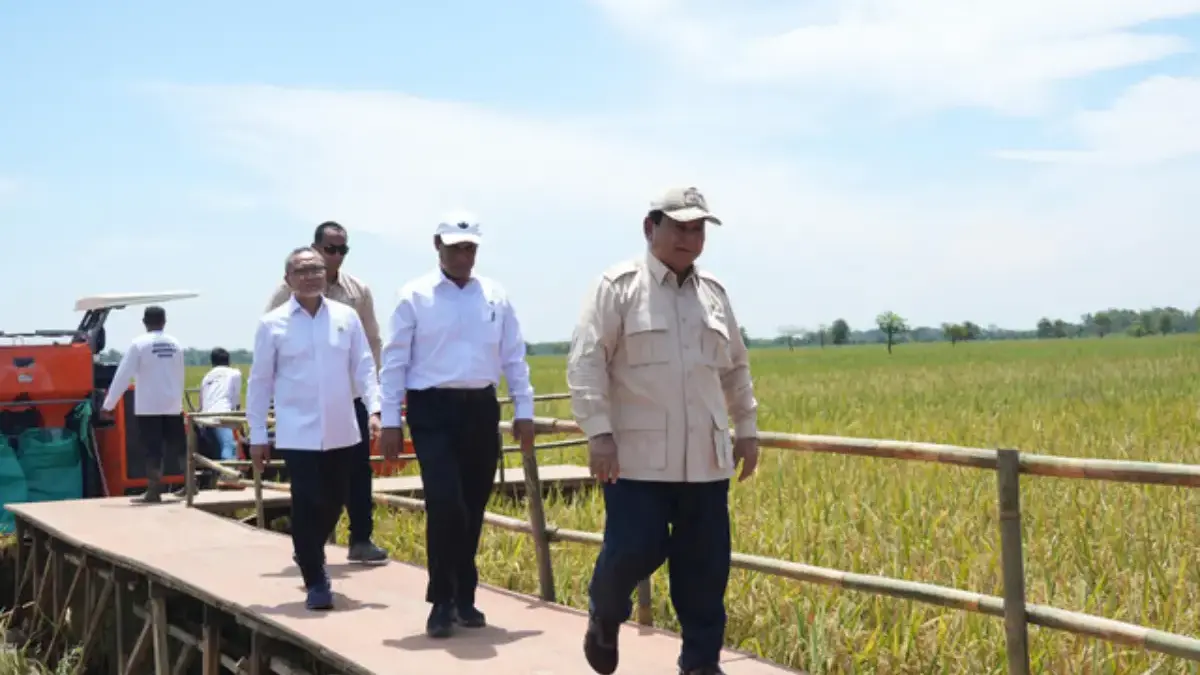 Menko Pangan Zulkifli Hasan (kiri) dampingi Presiden Prabowo Subianto saat panen raya di Majalengka, Provinsi