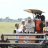 Panen Raya Padi Serentak di 14 Provinsi bersama Presiden Prabowo, Majalengka, 7 April 2025. (Tangkapan Layar Y