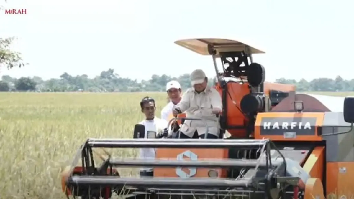 Prabowo Turun ke Sawah Naik Combine Harvester Panen Raya Padi Serentak di 14 Provinsi bersama Presiden Prabowo, Majalengka, 7 April 2025. (Tangkapan Layar Y