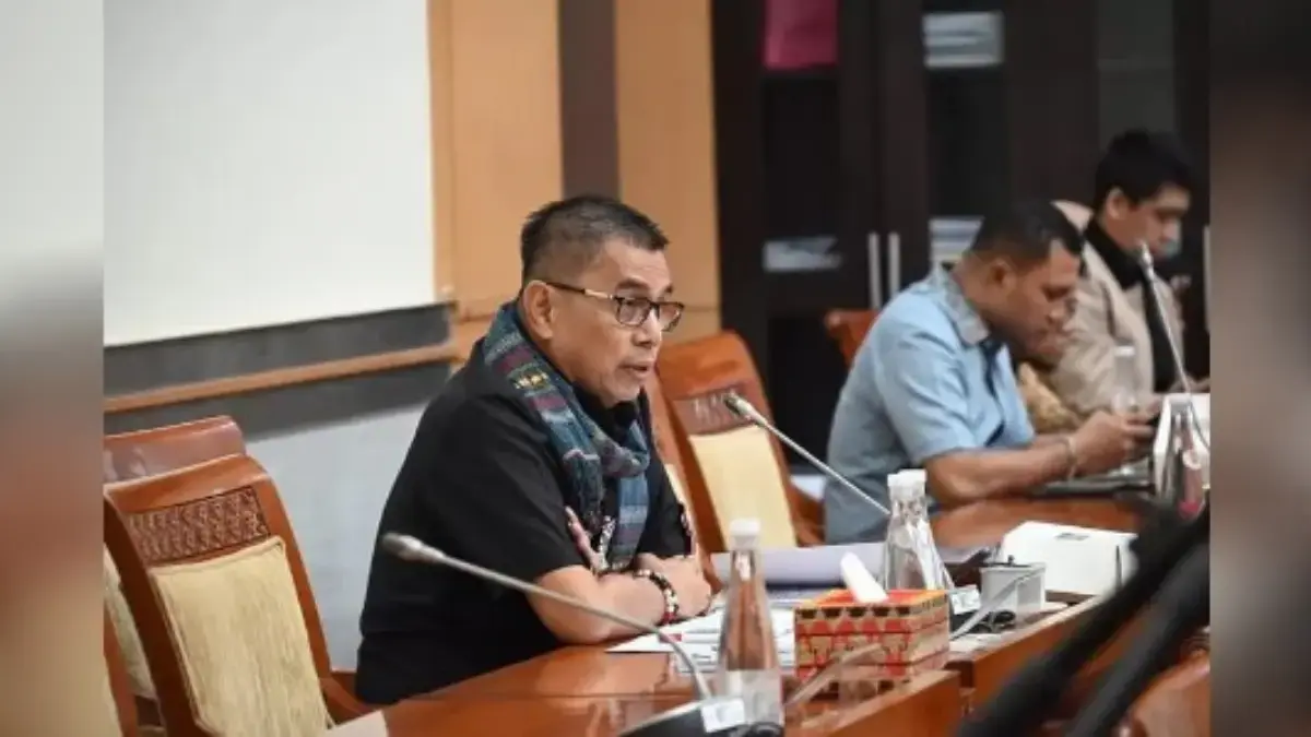 Anggota komisi III DPR RI, Hinca Panjaitan