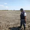 Kondisi lahan sawah di salah satu dari tujuh kecamatan di wilayah Timur Kabupaten Cirebon yang tampak mulai me