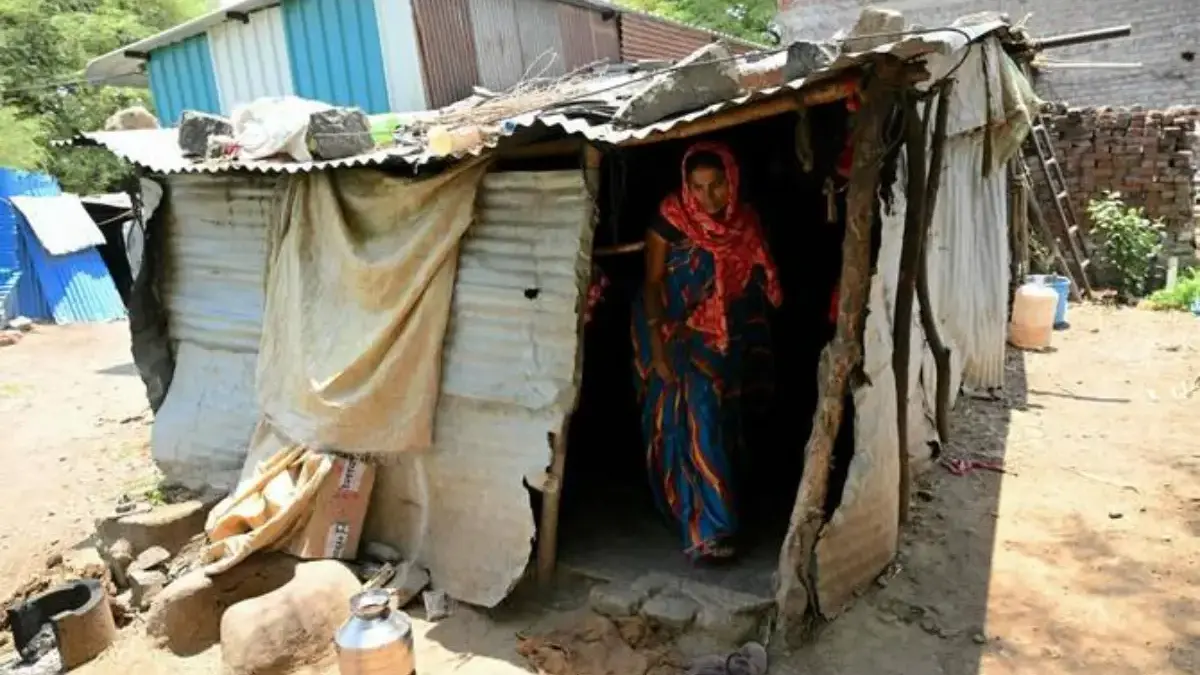 Cuaca Ekstrem Picu Gagal Panen, Petani di India Pilih Bunuh Diri Mirabai Khindkar mengatakan satu-satunya hal yang tumbuh dari lahannya adalah utang, setelah panen gagal karen