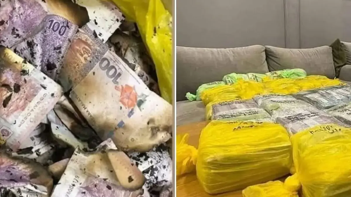 Penampakan uang 1 juta ringgit (Rp 3,8 miliar) yang dibakar manajer proyek diduga untuk menghilangkan barang b