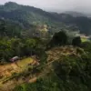 Ungkap Pusat Peradaban Dunia di Cianjur, Gunakan Drone dan Light Detection and Ranging Situs Megalitikum Gunung Padang