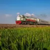 Ilustrasi kereta api (Foto: dok. PT KAI)
