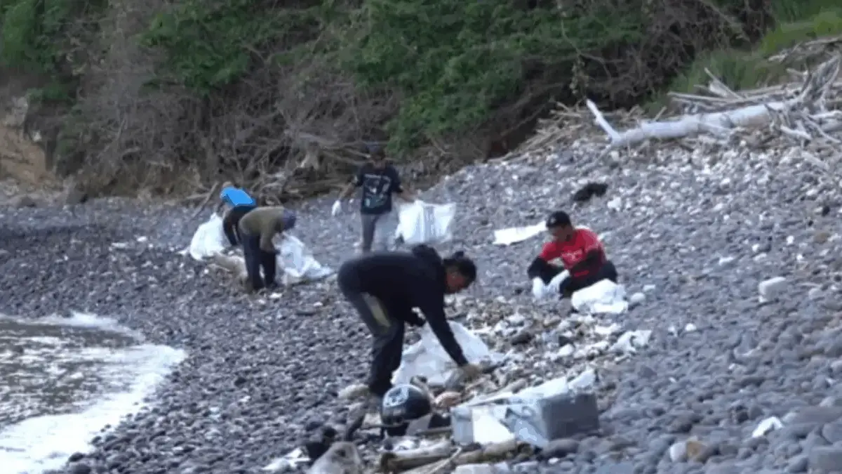 Kegiatan konservasi yang dilakukan Grup Artha Graha di Taman Nasional Komodo (Foto: Dok. Grup Artha Graha)