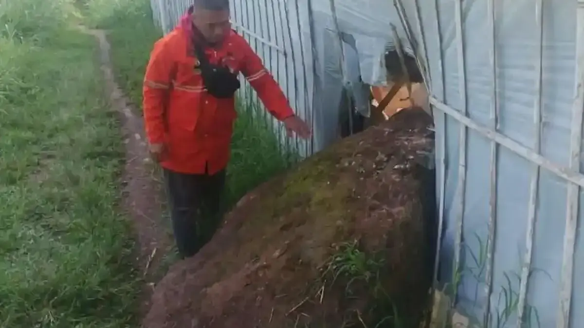 Petugas Lapangan BPBD Bandung Barat, Suheri saat melakukan asesmen di Gunung Batu, Lembang, Bandung Barat. (Is