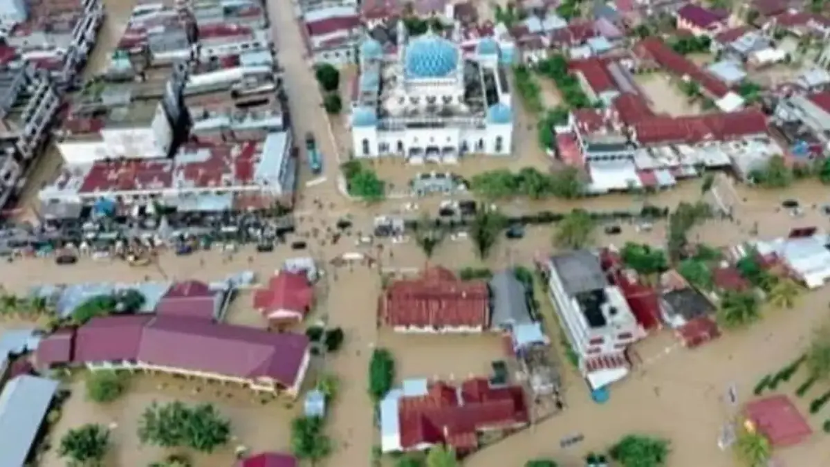 Banjir di Aceh Timur. (Foto: Dok. BNPB)