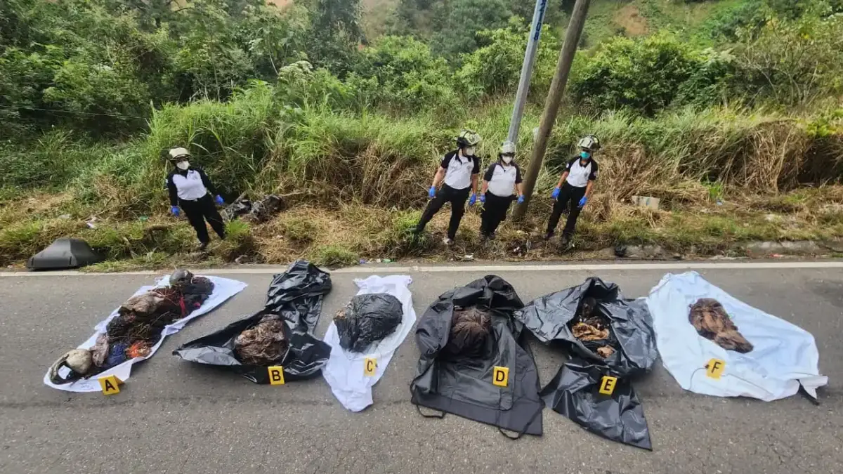 (Foto: Bomberos Voluntarios)