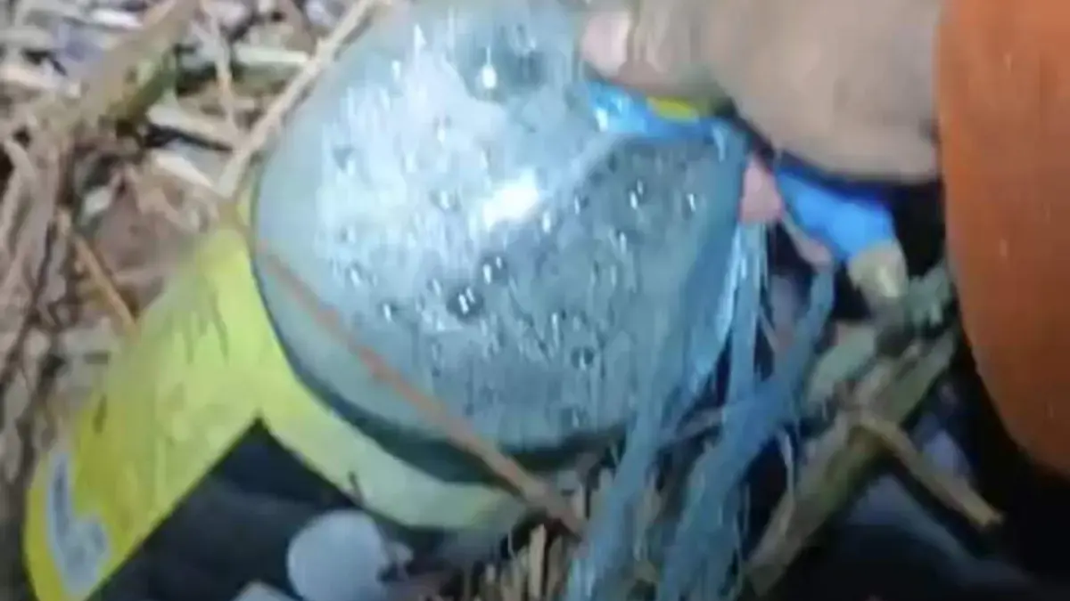 Petugas menemukan botol berisikan bensin saat berada di lokasi kebakaran lahan di Jalan Parit H Husin II, Pont