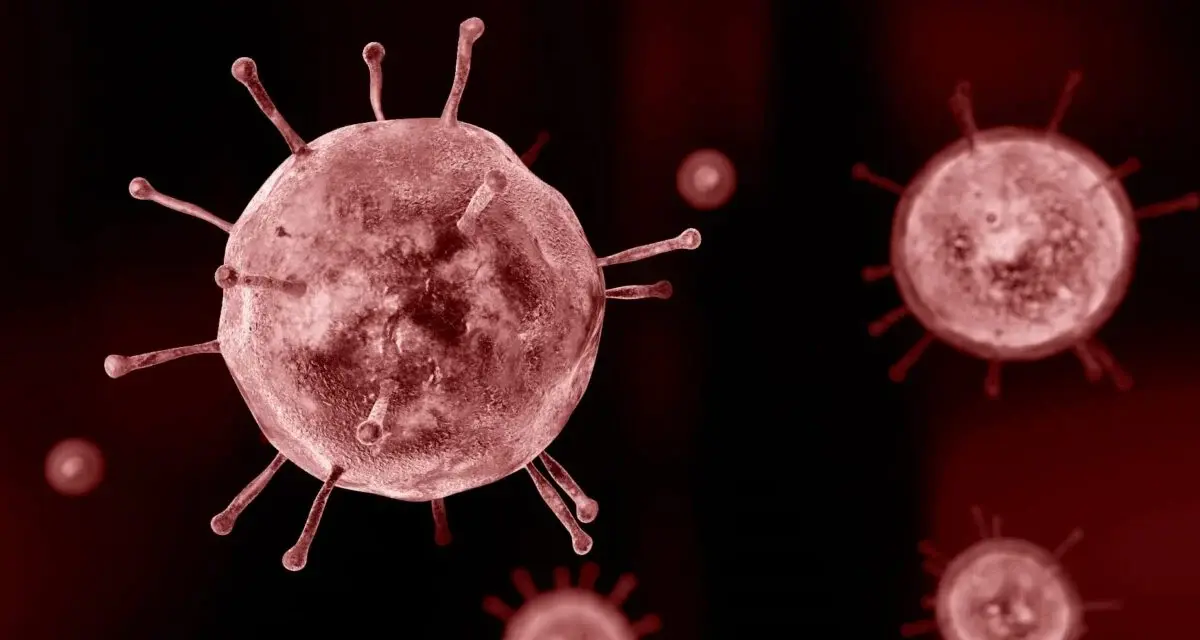 Ilustrasi: Influenza