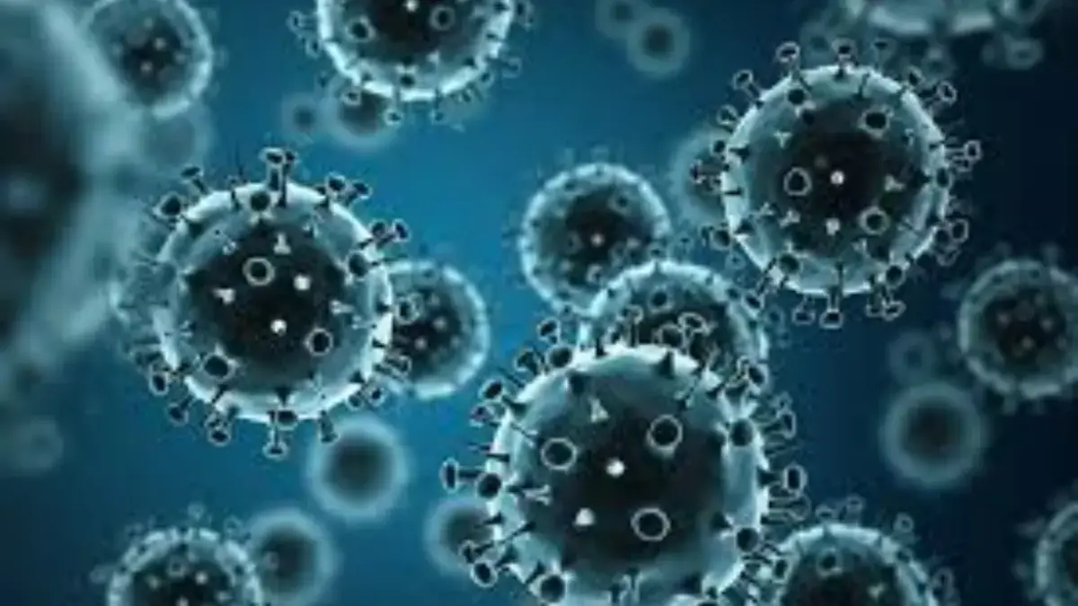 Strain influenza baru, A(H3N2) subclade K, mendorong peningkatan kasus flu di seluruh Eropa, Asia Timur, dan A