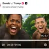 Tangkapan layar video Barrack-Michelle Obama berbadan kera. (IST)