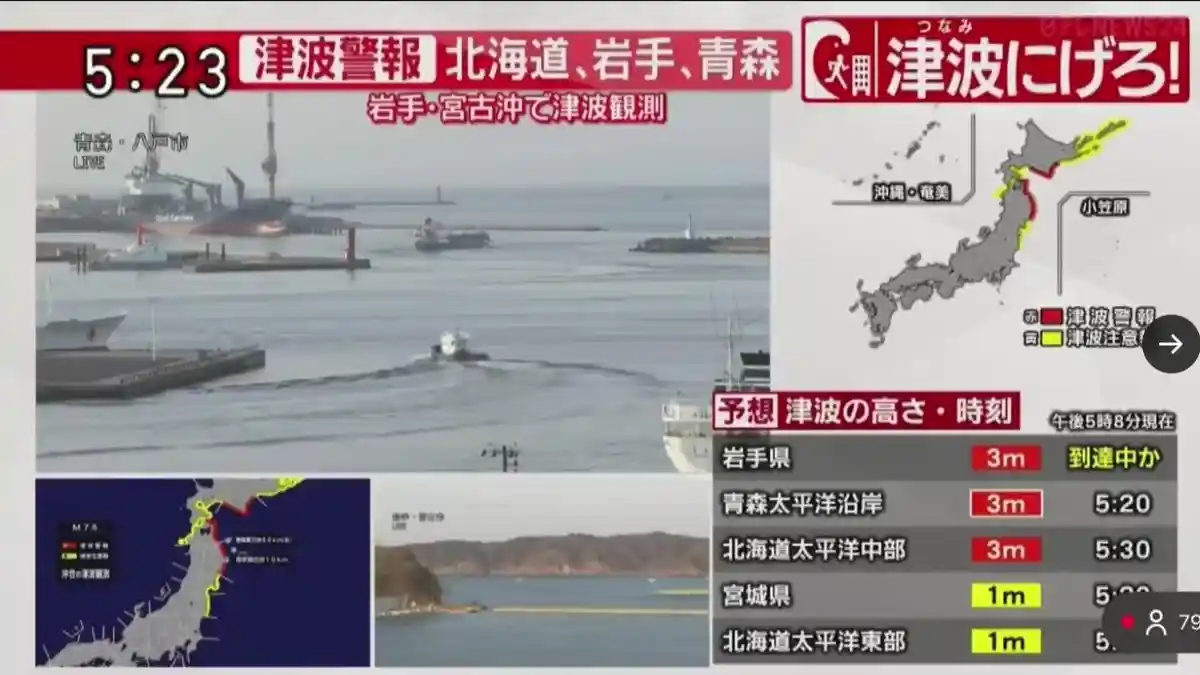 Jepang memprediksi gempa susulan yang bakal terjadi setelah gempa pertama 7,5 magnitudo terjadi di Lepas Panta