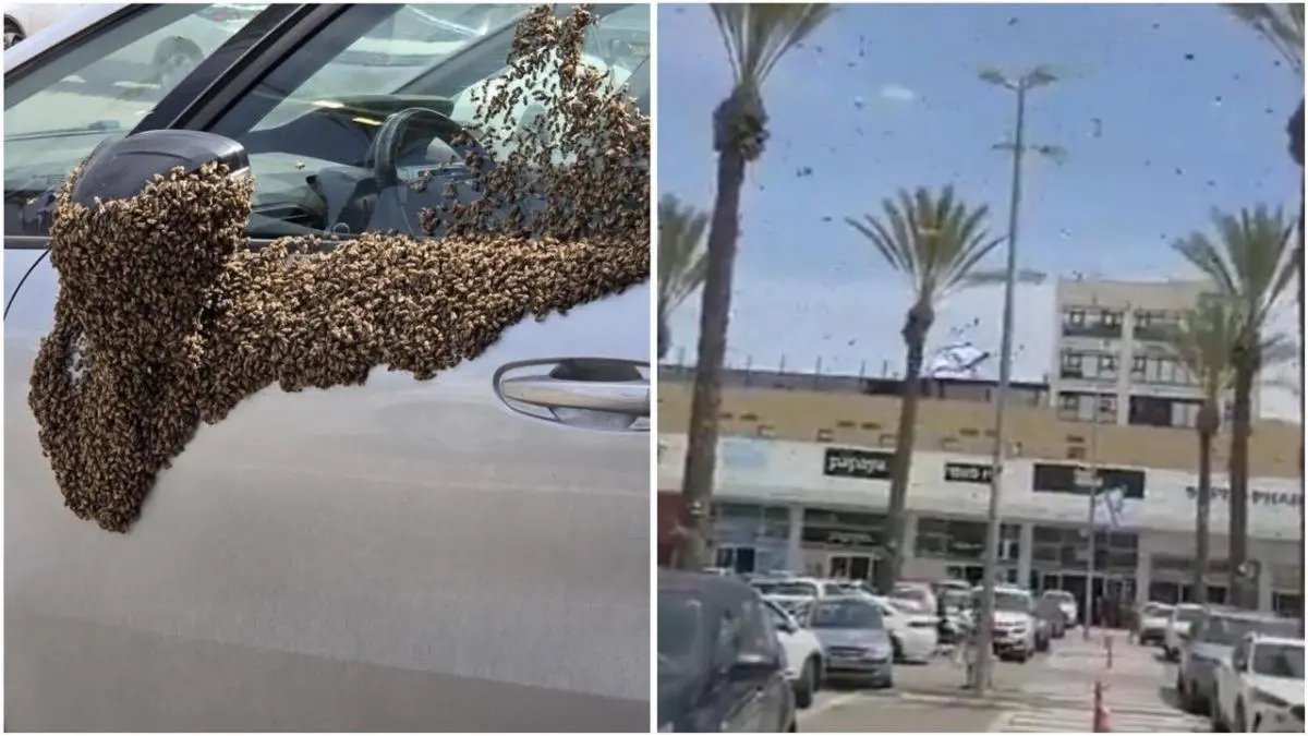 Ribuan lebah menyerbu kota Netivot, Israel, hingga menyelimuti mesin pesawat militer dan memicu perdebatan net