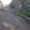 Mobil Pajero yang menabrak lansia penjual buah gerobakan di Jaktim. (Tangkapan layar CCTV)