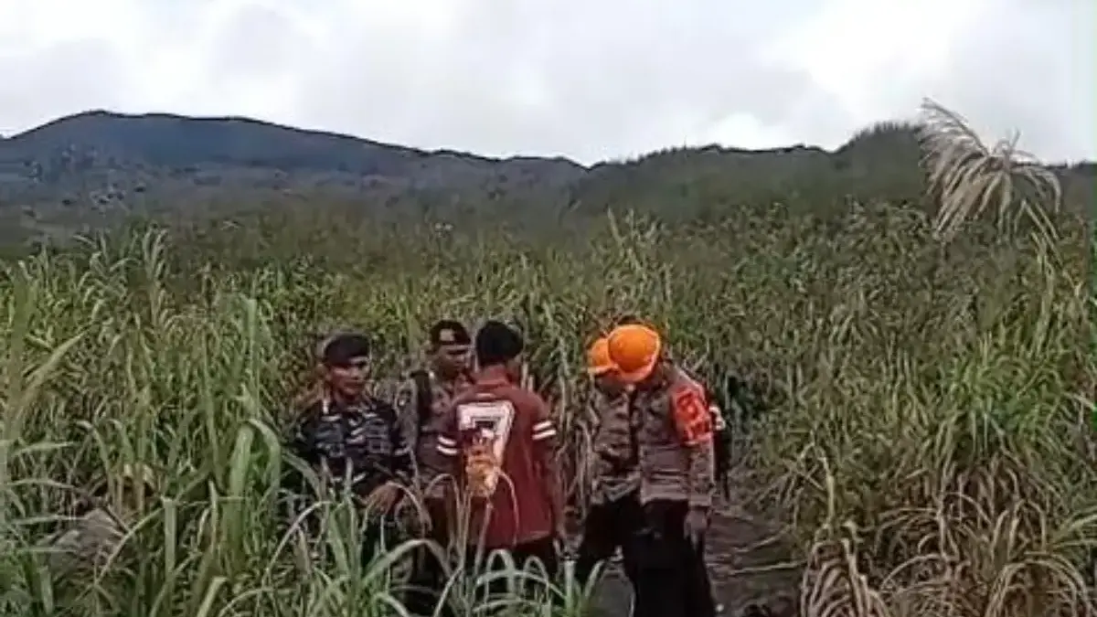 Tim SAR gabungan saat melakukan pencarian terhadap tiga korban hilang di tengah erupsi gunung Dukono. (IST)