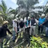 Dittipidter Bareskrim Polri turun tangan menyelidiki penyebab putusnya konduktor SUTET 175-176 di Desa Tempino