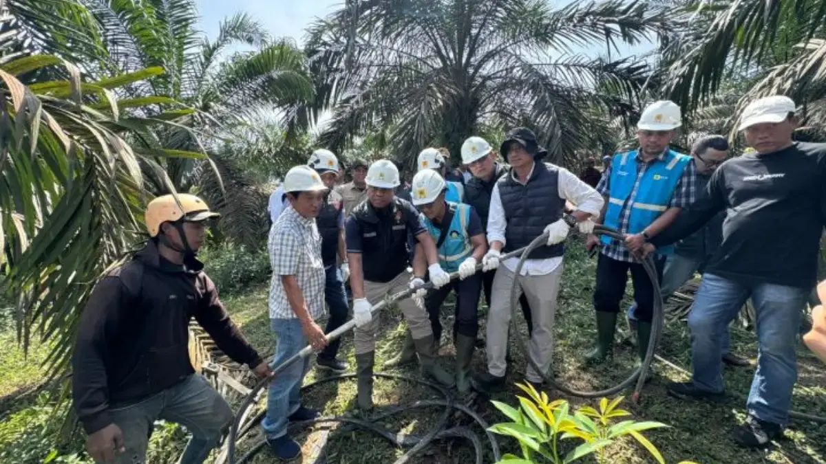 Titik Terang Blackout Sumatra: Bareskrim Temukan Konduktor SUTET Putus di Jambi Dittipidter Bareskrim Polri turun tangan menyelidiki penyebab putusnya konduktor SUTET 175-176 di Desa Tempino
