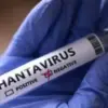 Ilustrasi: Hantavirus