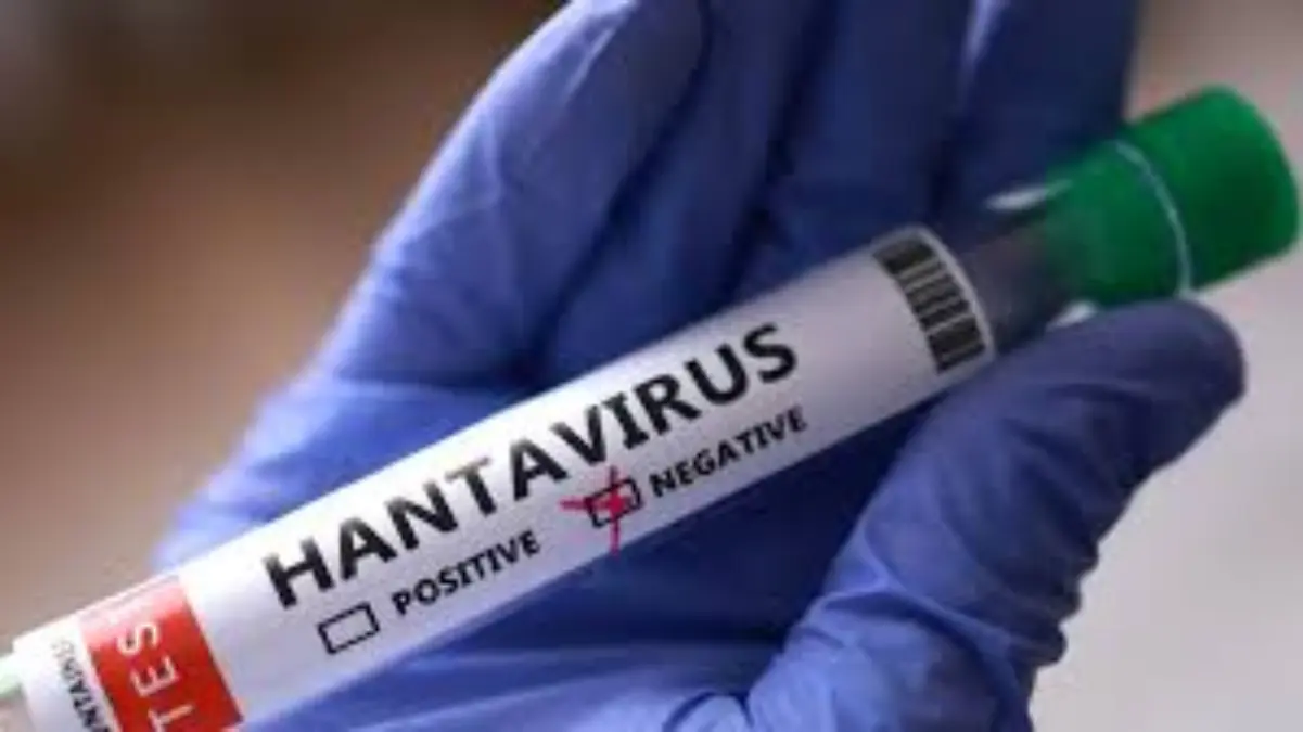 Ilustrasi: Hantavirus