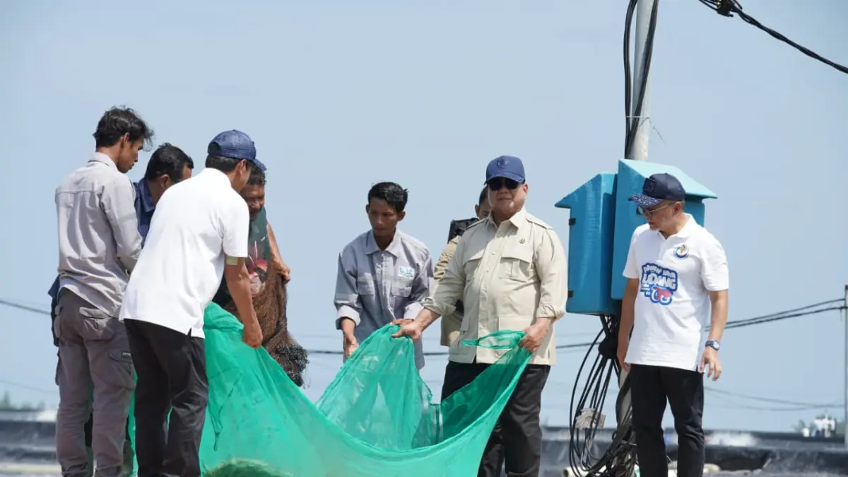 Presiden Prabowo Subianto saat menghadiri panen raya udang di kawasan tambak modern Budidaya Udang Berbasis Ka