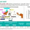 Sebaran RS yang disediakan Kemenkes RI untuk pasien Hantavirus. (Dokumentasi: Tangkapan layar dari Zoom meetin