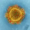 Ilustrasi virus. Foto: Freepik