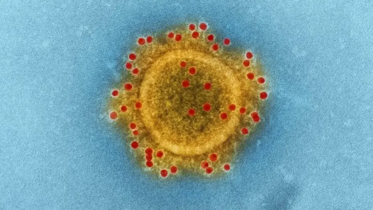 Ilustrasi virus. Foto: Freepik