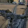 Leipzig menghentikan sementara seluruh jaringan tremnya setelah panas ekstrem mempengaruhi infrastruktur keret